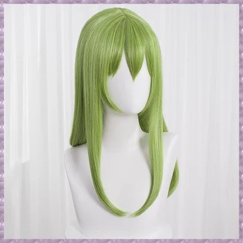 Fate/Grand Order Enkidu zelené cosplay paruka pánská Enkidu dlouhé rovné zelené vlasy Code Geass C. C. paruka vlasy