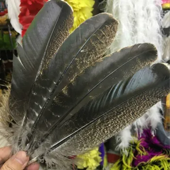 Hot 10pcs krásné 8-10inches / 20-25cm přírodní wild turkey ocas peří řemesla pro Vánoční svatební Dekorace