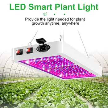 LED Grow Světlo, Full Spectrum Kvantové deska Phyto Lampy Pro Rostliny, Semena Květin 100W 200W AC85-265V Growbox Hydroponické Kit Stan
