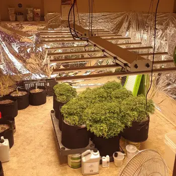 Phlizon LED Plant Grow Světla 640W stmívatelné celé Spektrum rostou lampa skleníkových pokojové rostliny světlo