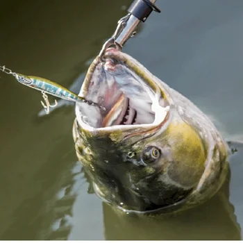 Rybí Grip z Nerezové oceli Lákat Kleště S Retenční Lano Venkovní Rybaření Nástroje, 5 Stylů